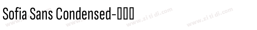 Sofia Sans Condensed字体转换